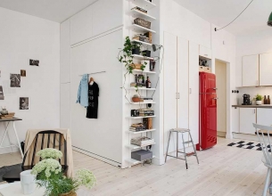 哥德堡一居室北欧风白色公寓设计