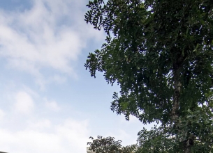 细腻质朴的越南EPV House住宅设计