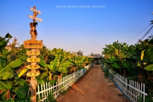 ̫ƽɽСӢΪPacific Crest TrailΪϿɵĻС